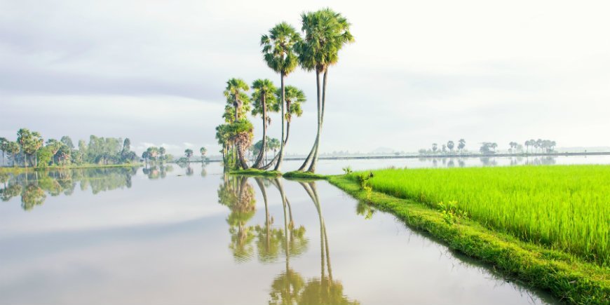 Mekong elvelandskap